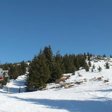 Lejlighed Suncani Breg - 11