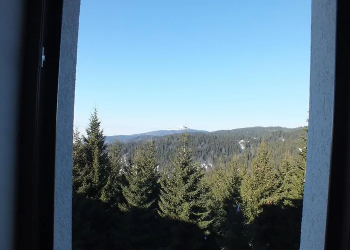 Suncani Breg - 11 * Kopaonik